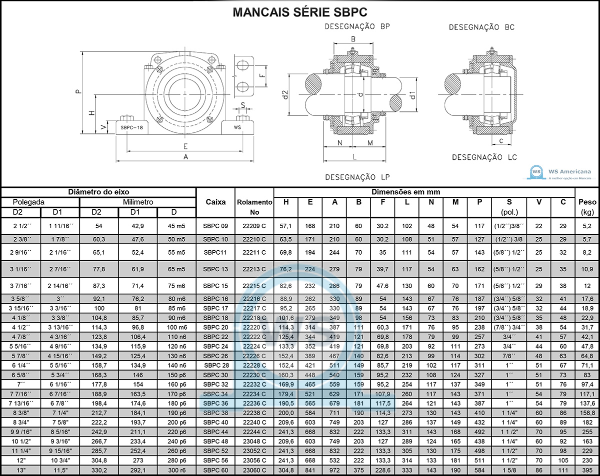 SBPC  - WS AMERICANA