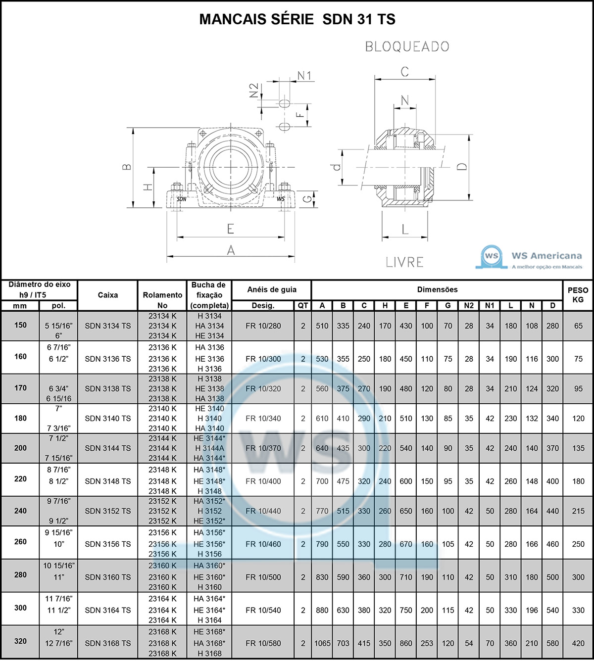 SDN 31 TS - WS AMERICANA