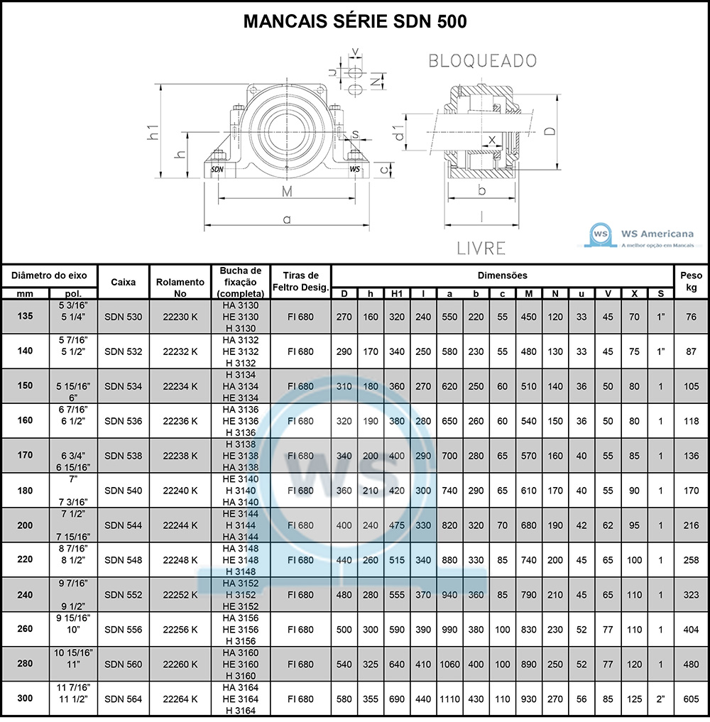 SDN 500 - WS AMERICANA